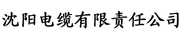 碰碰人人操电缆厂logo